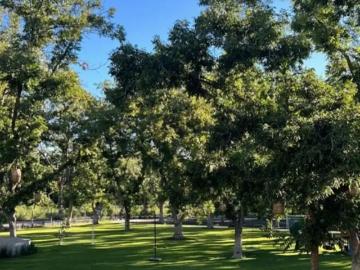 Terreno residencial en Hacienda del Márquez, Parras