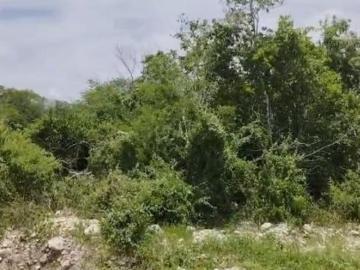 Terreno residencial en Puerta de Agua con lago natural, zona Progreso–Mérida