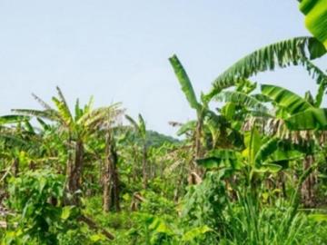 Terreno residencial en venta en Aeropuerto Bahías de Huatulco