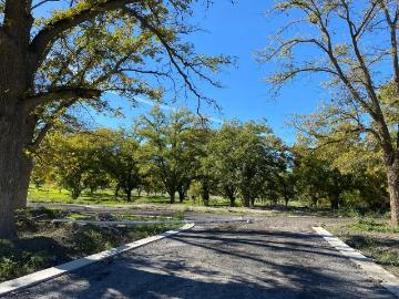Terreno residencial en venta en Barrio Tacubaya en Parras