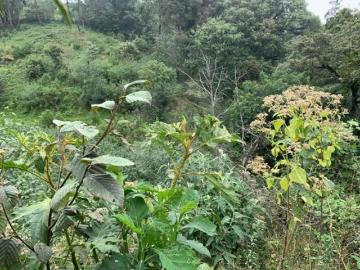 Terreno residencial en venta en Lindavista