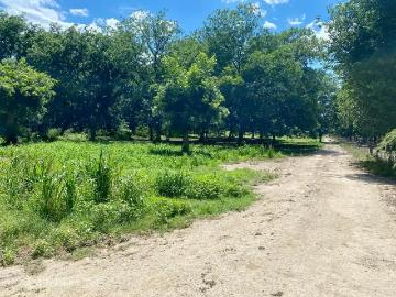 Terreno campestre en venta en Parras, todo legal