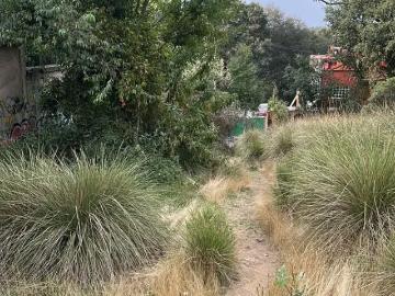 Terreno residencial en venta en San Lorenzo Acopilco, Cuajimalpa de Morelos, Ciudad de México