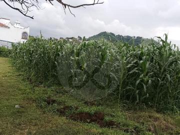 Terreno Residencial en venta en San Miguel de Allende Centro