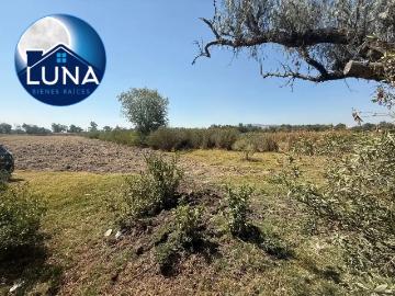 Terreno residencial en venta en San Pedrito Alpuyeca, Tula de Allende