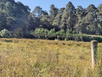Terreno Residencial en Venta en Valle de Bravo, Acatitlan Avandaro
