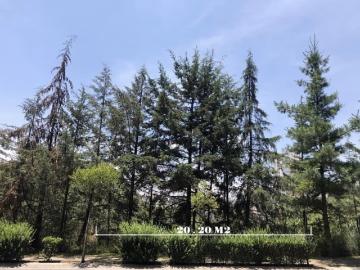 Terreno Residencial en Venta Lomas Country Club Huixquilucan