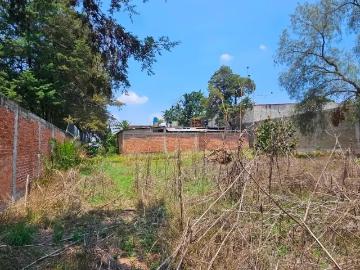 Terreno residencial en venta ubicado en San Andrés Chiautla Centro, México