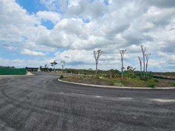 Terreno Residencial en Yucatán, facilidad de pagos