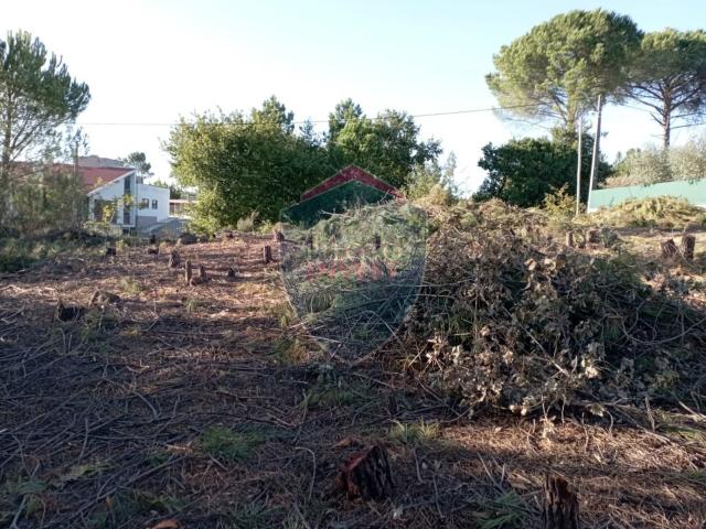 Terreno, Repeses e São Salvador, Viseu | BPI Expresso Imobiliário