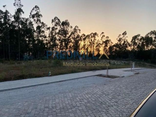 Terreno, Tougues