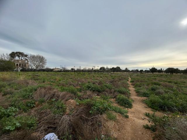 Terreno, Reus