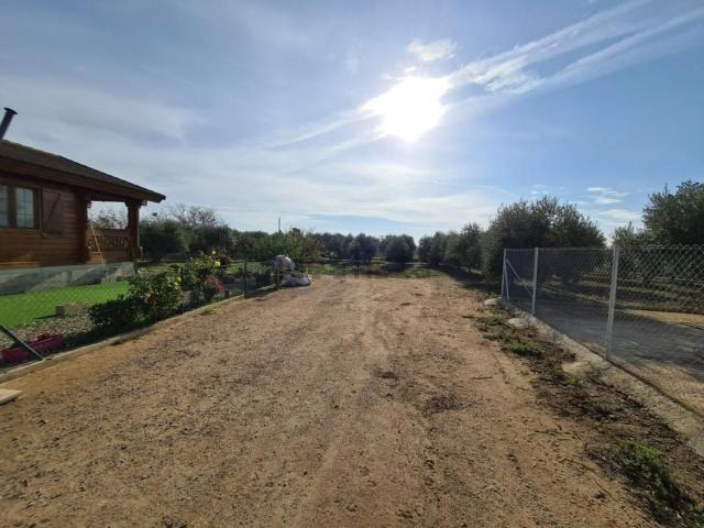 Terreno, Reus
