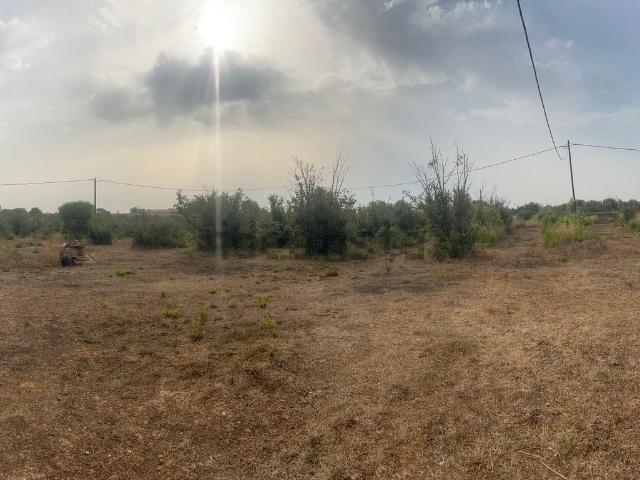 Terreno, Reus