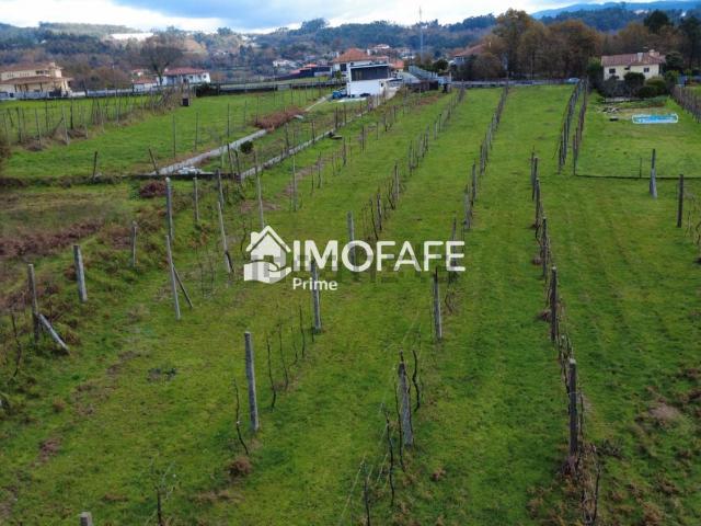 Terreno, Revelhe