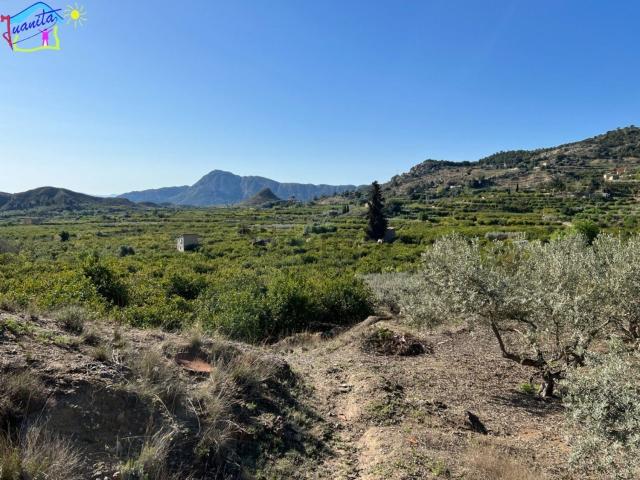Terreno, Ricote