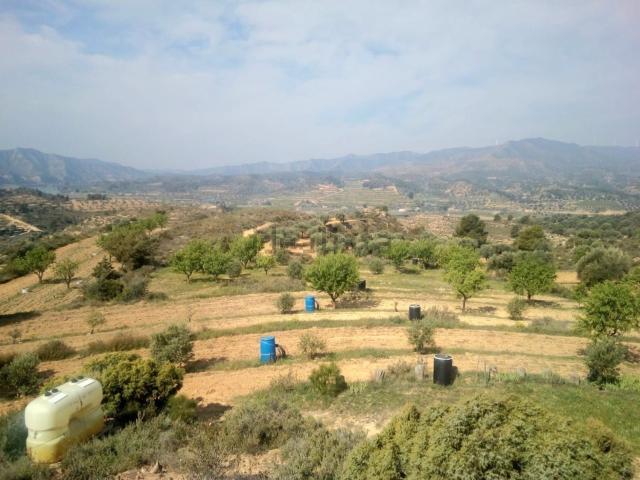Terreno, Riba Roja d&apos Ebre