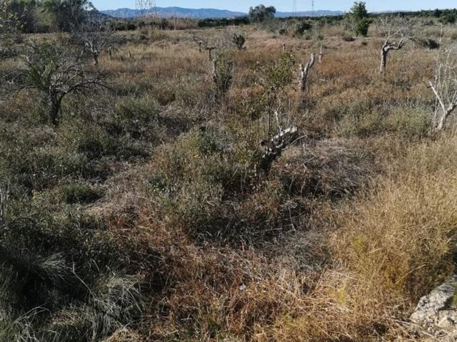 Terreno, Riba Roja de Túria