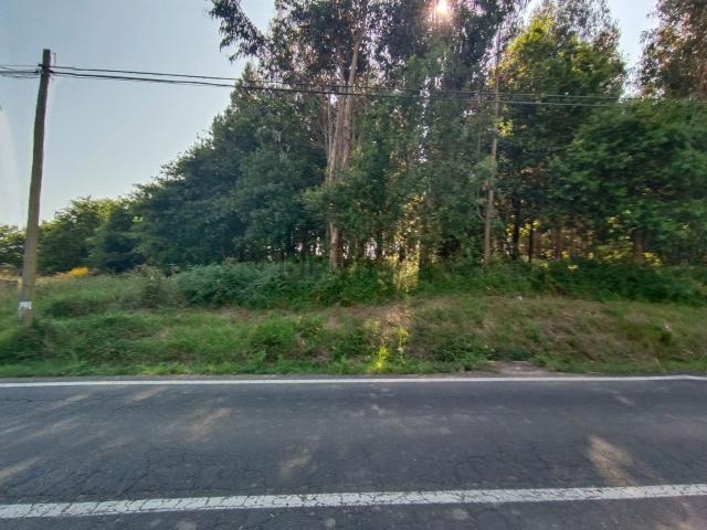 Terreno, Ribadumia