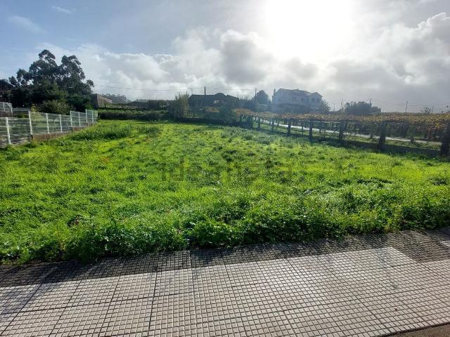 Terreno, Ribadumia