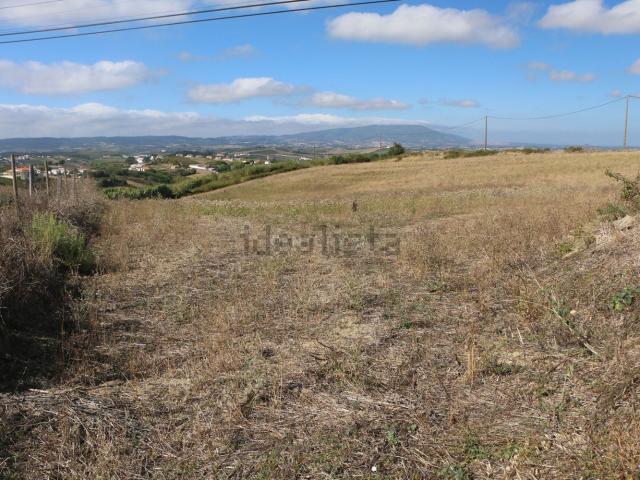 Terreno, Ribafria e Pereiro de Palhacana