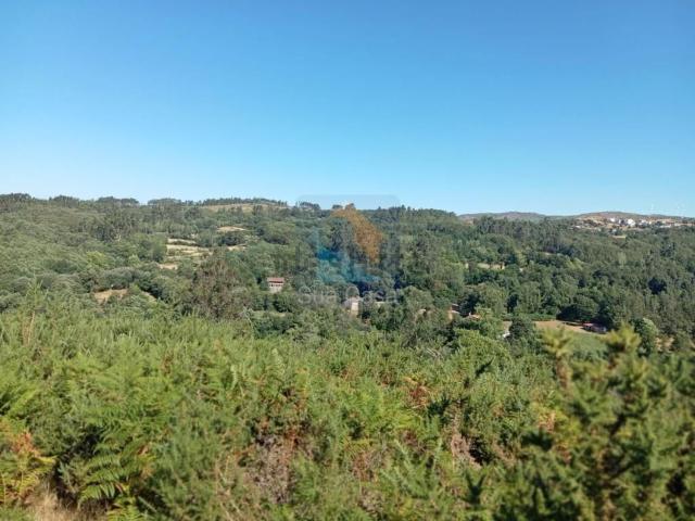 Terreno, Ribeiros