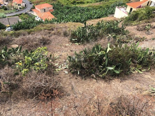 Terreno Ribeira Brava