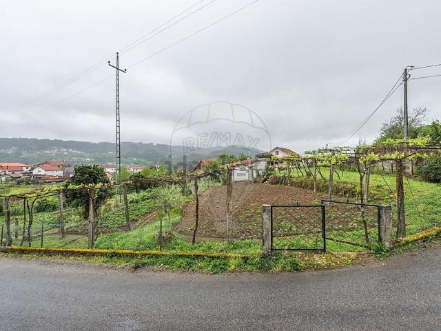 Terreno, Ribeira do Neiva