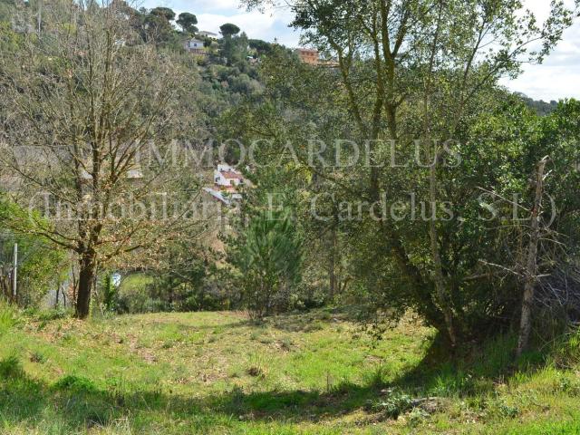 Terreno, Riells i Viabrea