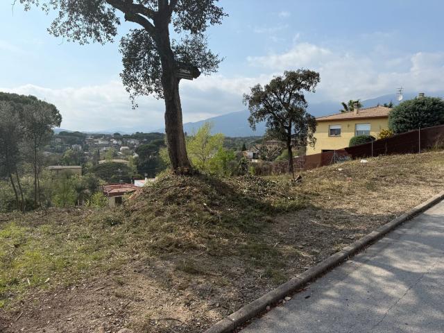 Terreno, Riells i Viabrea