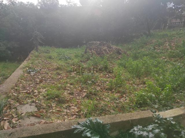Terreno, Riells i Viabrea