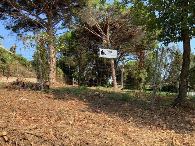 Terreno, Riells i Viabrea