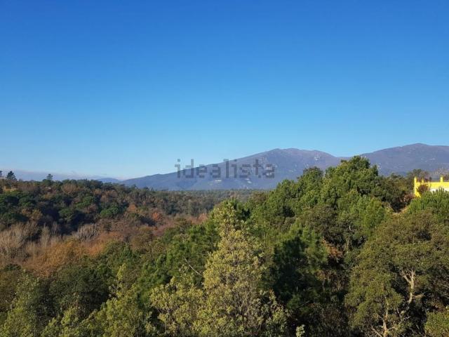 Terreno, Riells i Viabrea