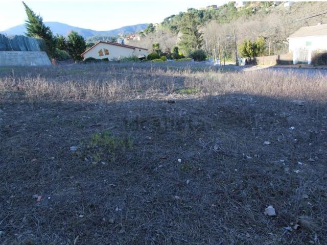 Terreno, Riells i Viabrea