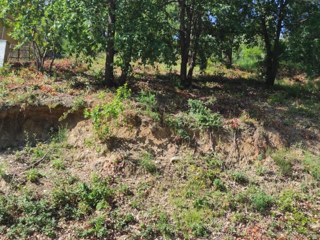 Terreno, Riells i Viabrea