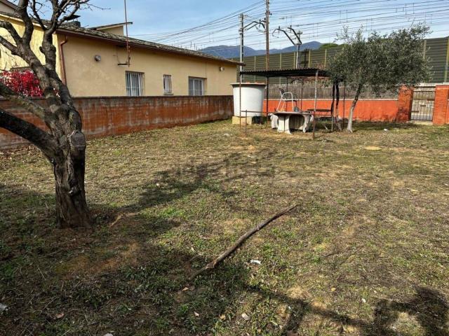 Terreno, Riells i Viabrea