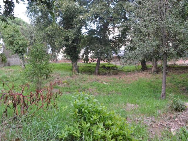 Terreno, Riells i Viabrea