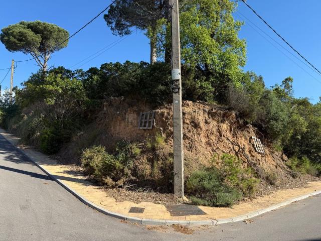 Terreno, Riells i Viabrea