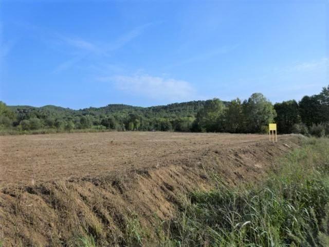 Terreno, Riells i Viabrea