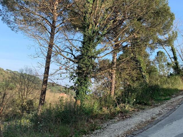 Terreno, Riells i Viabrea