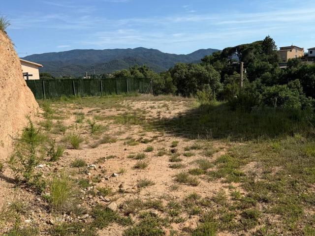 Terreno, Riells i Viabrea