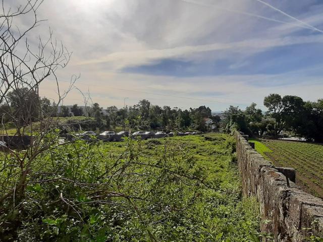 Terreno, Rio Tinto