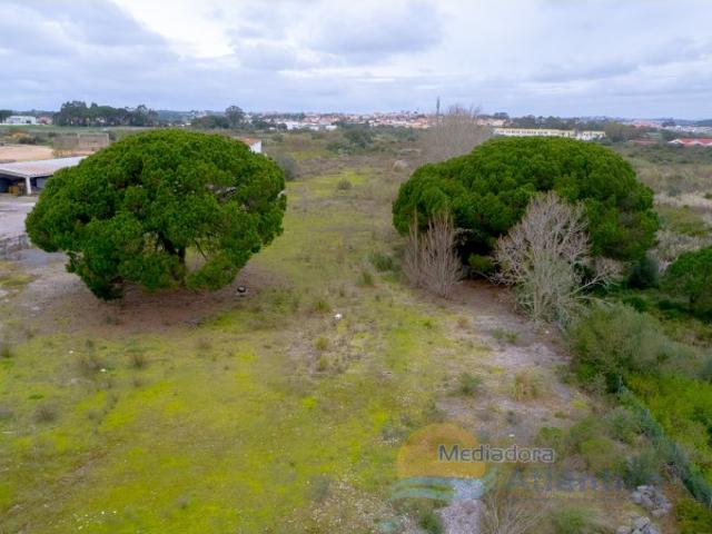 Terreno, Rio de Moinhos, Sintra | BPI Expresso Imobiliário