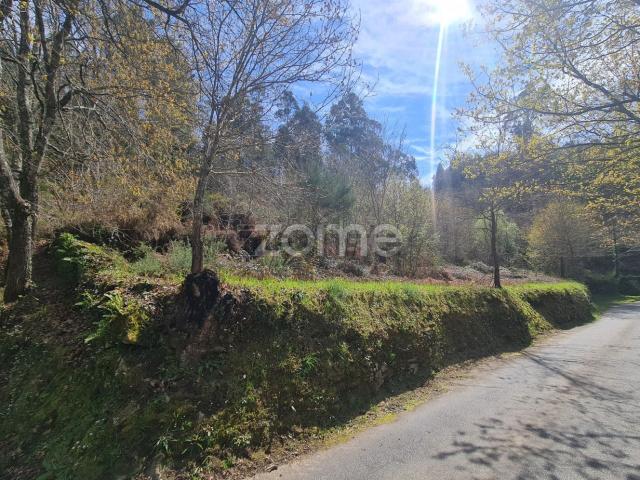 Terreno, Rio Douro