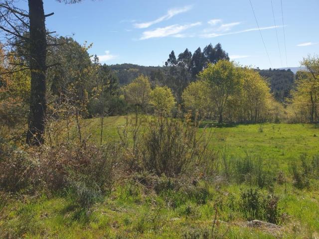Terreno, Rio Douro