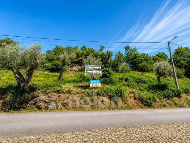 Terreno, Rio Douro