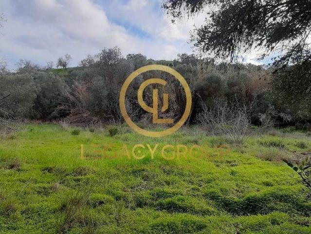 Terreno Rio Guadiana | 26064008298