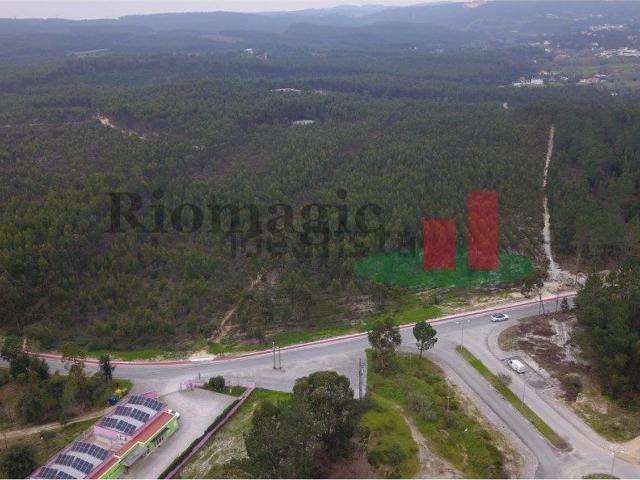 Terreno, Rio Maior