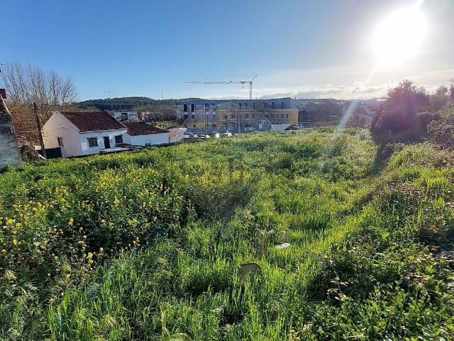 Terreno, Rio Maior