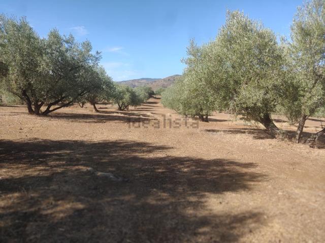 Terreno, Riogordo